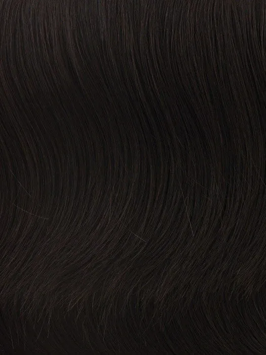 10" Claw Clip Pony with Braid | HF Synthetic Ponytail (Clip In) | CLOSEOUT