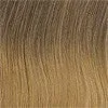 16" Sombre Extension (1pc) | Clip In | CLOSEOUT