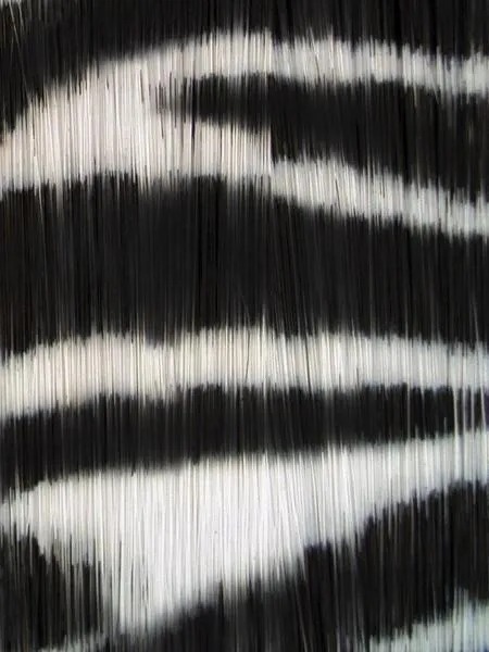 16" Tiger Print Hair Extensions | Gift With Purchase