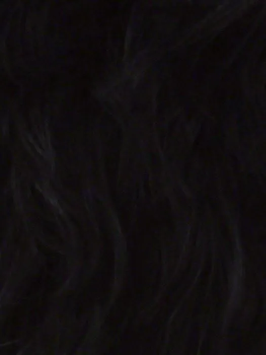 Chilli | Synthetic Lace Front Wig (Basic Cap)